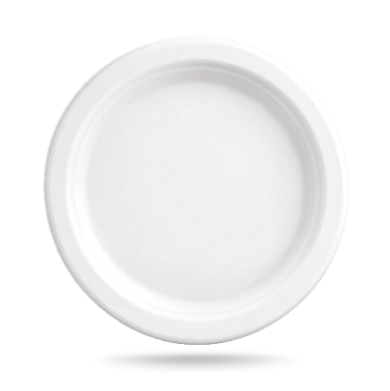 9 Inch Plain Round Plate