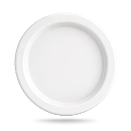 10 Inch Plain Round Plate