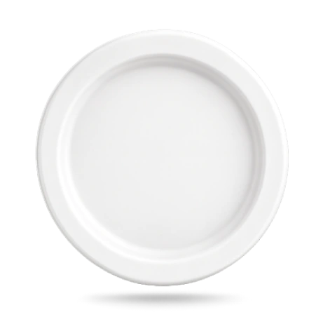 11 Inch Plain Round Plate