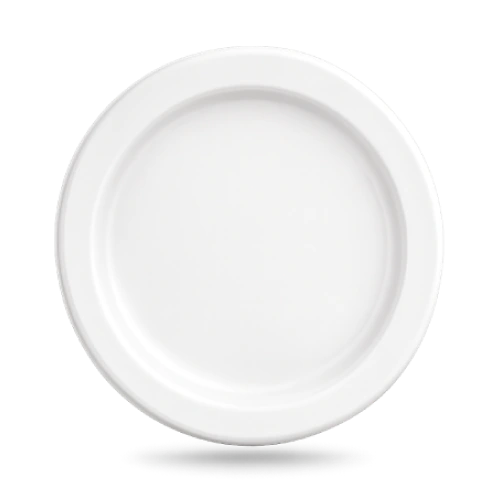 12 Inch Plain Round Plate