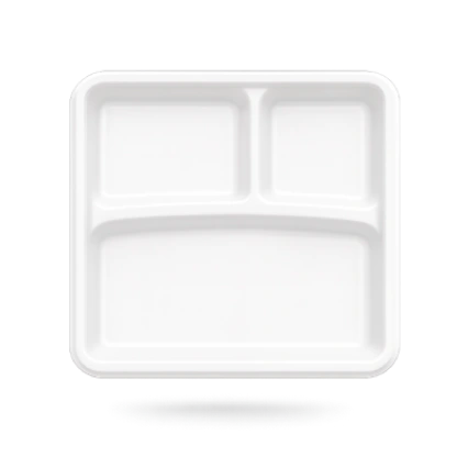 10 Inch 3 Compartment Square Plate