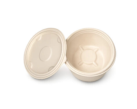 Bagasse bowl with lid
